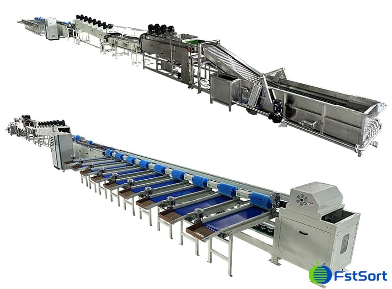 dragon fruit washing drying sorting packing line.jpg dragon fruit washing drying sorting packing line.jpg